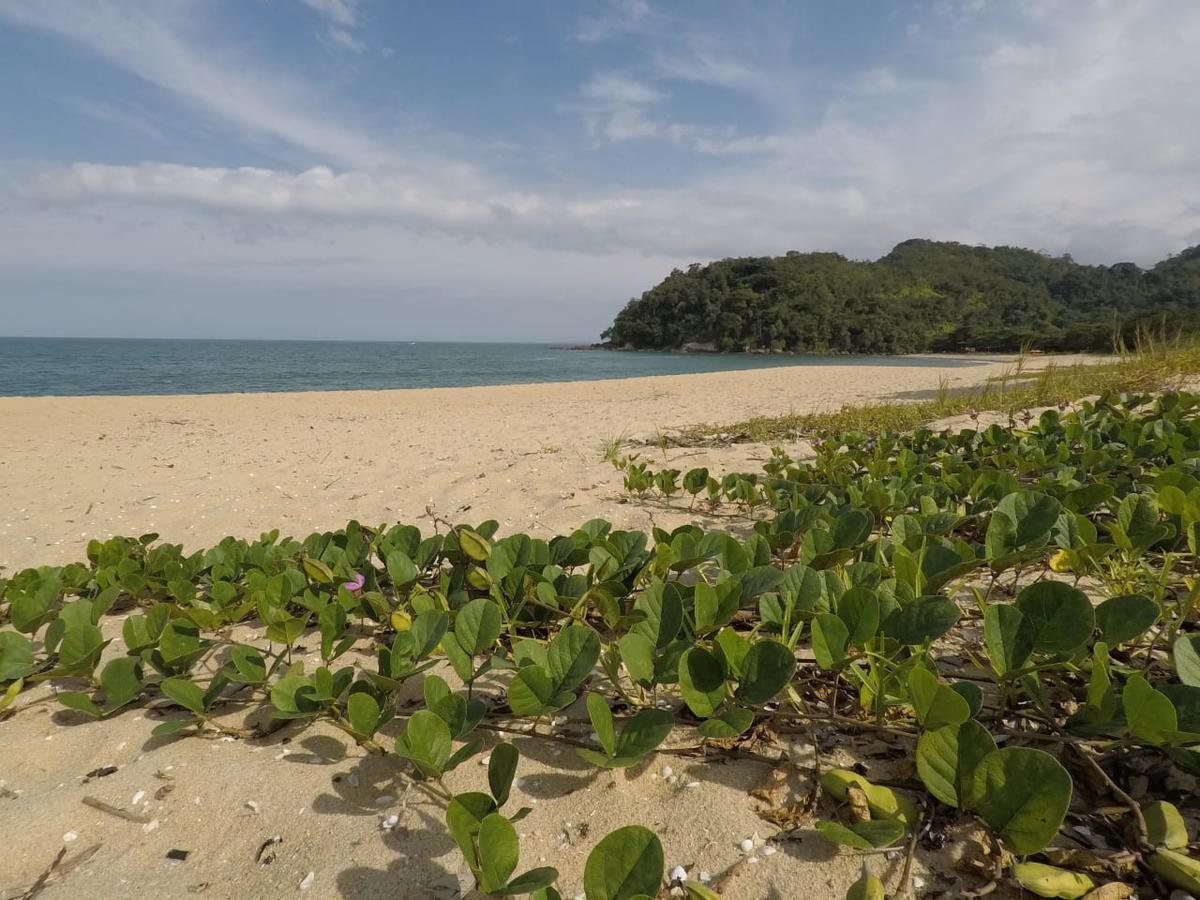 Casa de hóspedes Prumirim & Ubatuba